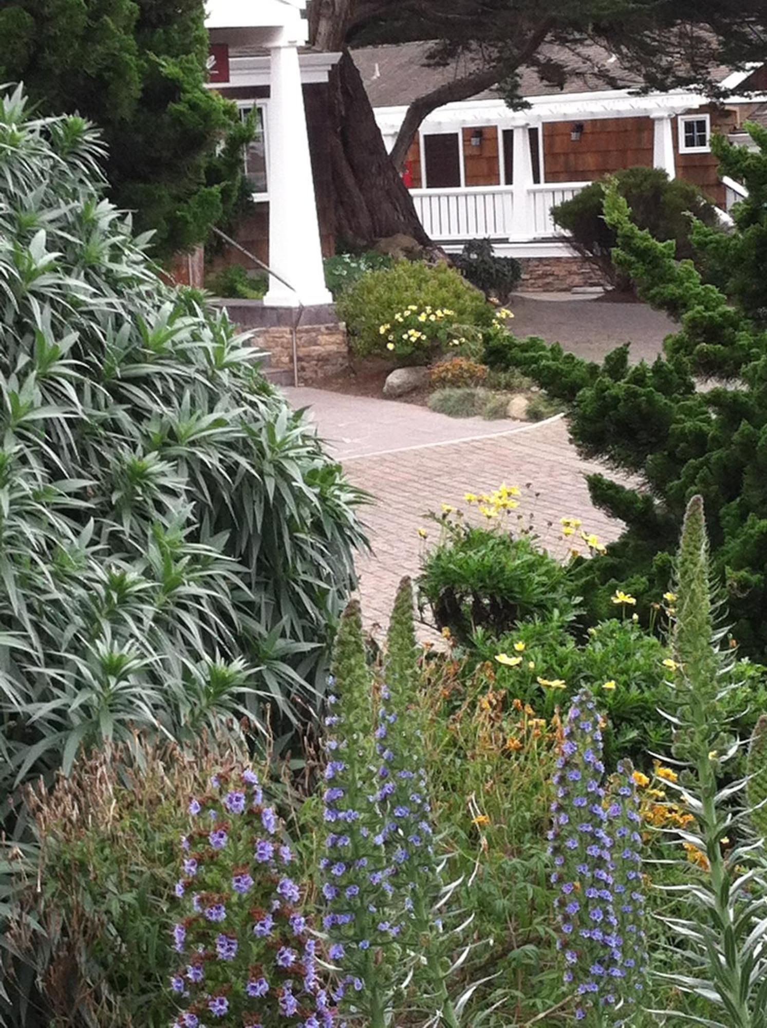 Lighthouse Lodge & Cottages Pacific Grove Esterno foto