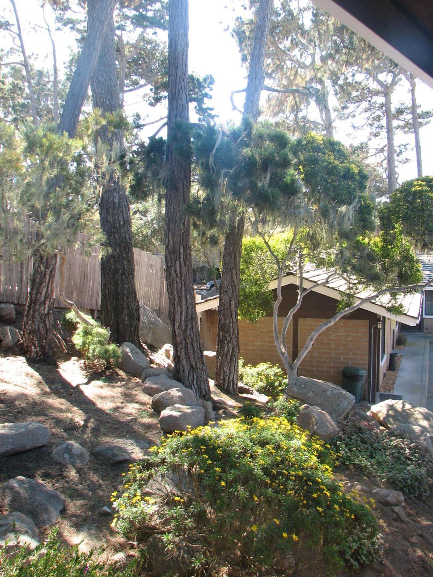 Lighthouse Lodge & Cottages Pacific Grove Esterno foto